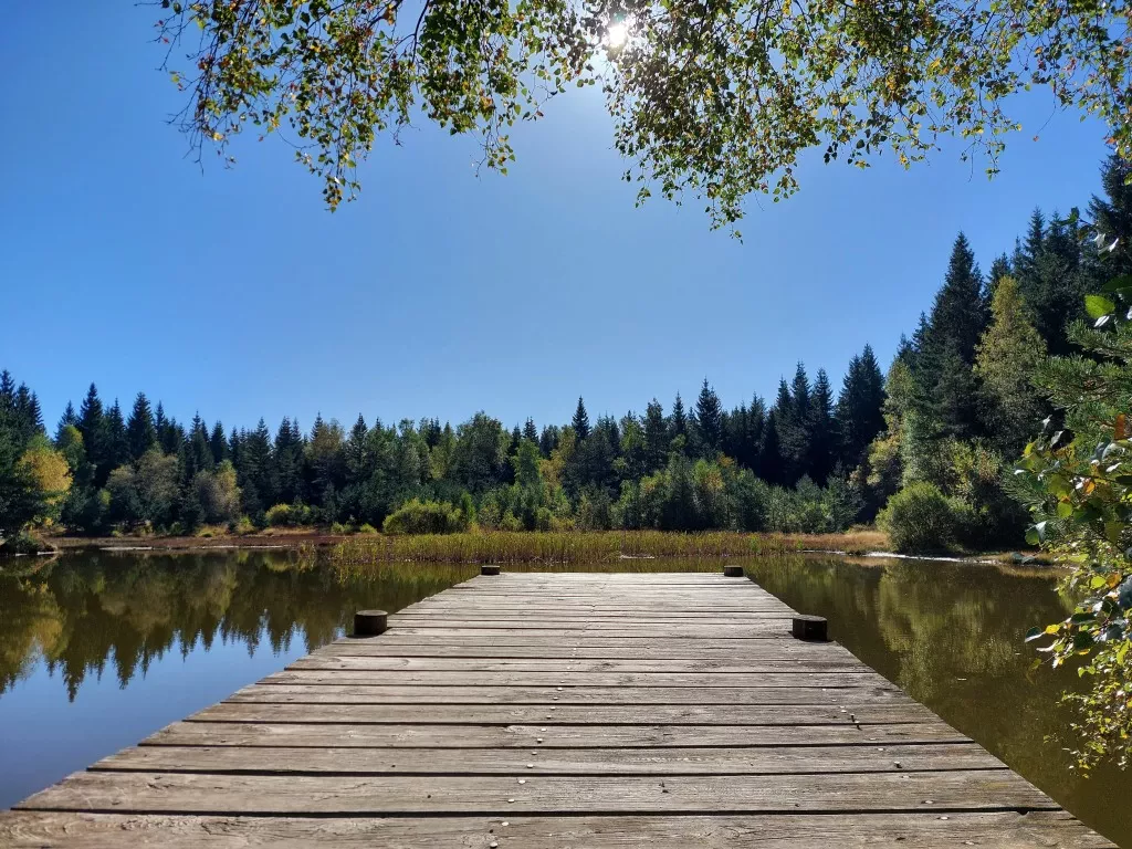 media-library759rc0jhvajpcxInoYR