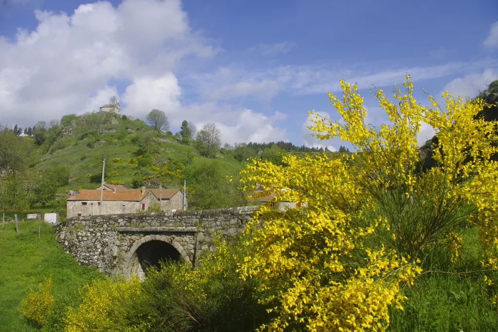 media-library5h7gcr02ln4n4PfhjeS