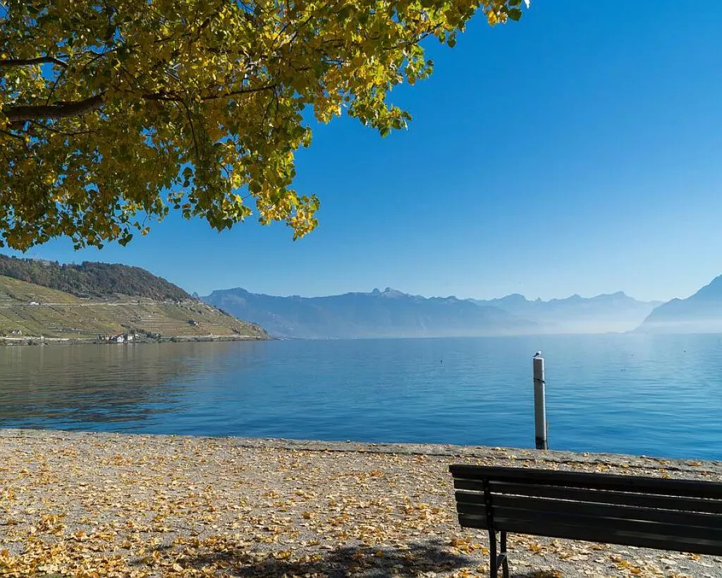 media-libraryh1ag1d1dt0t82hj5t9T