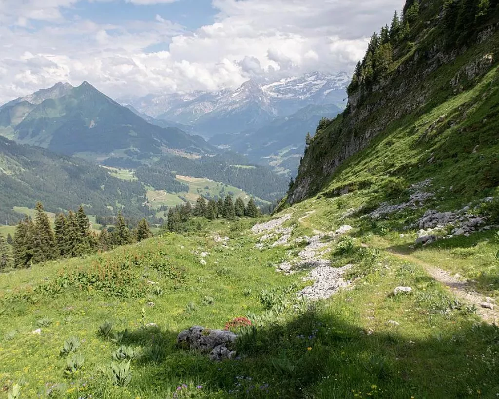 media-librarypjpl2tccjjir6zQCw0R