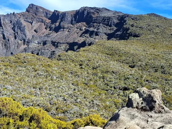 TREK ET SOMMETS DE LA REUNION