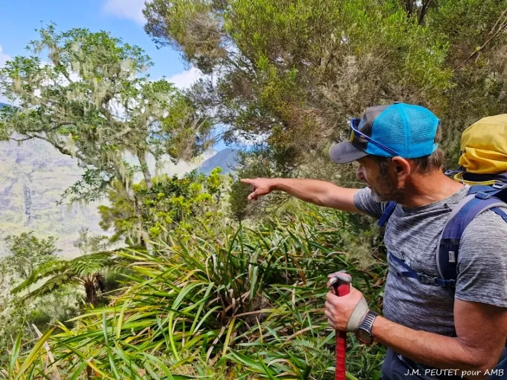 media-libraryn6iovifqf4d46Adf8vT