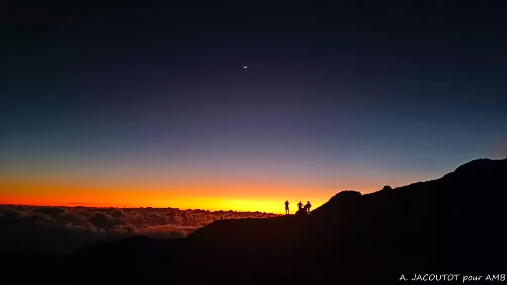 media-libraryfsnfupafa1u2aKWmxKS