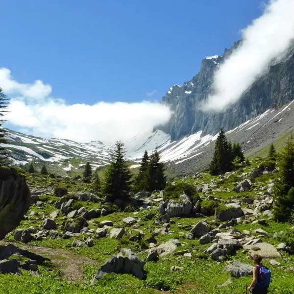 GR5 / Great hike across the Alps