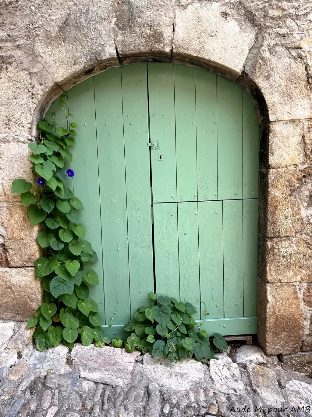 media-library49f9of85adn0f7ZKhhw