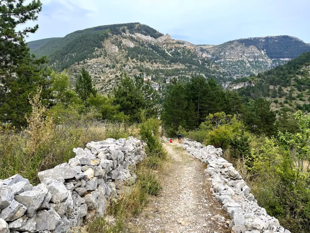 media-libraryqou5r4fredq6agPC9Au