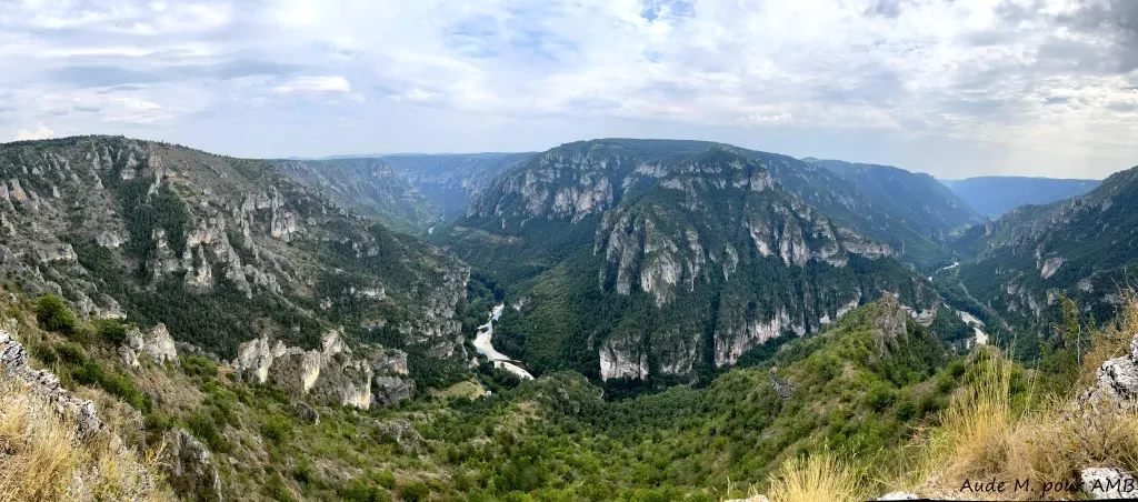 media-libraryhkc580udauge9sBEcou