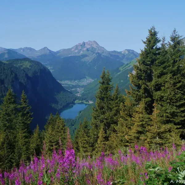 Chablais, Aravis, Aiguilles Rouges...