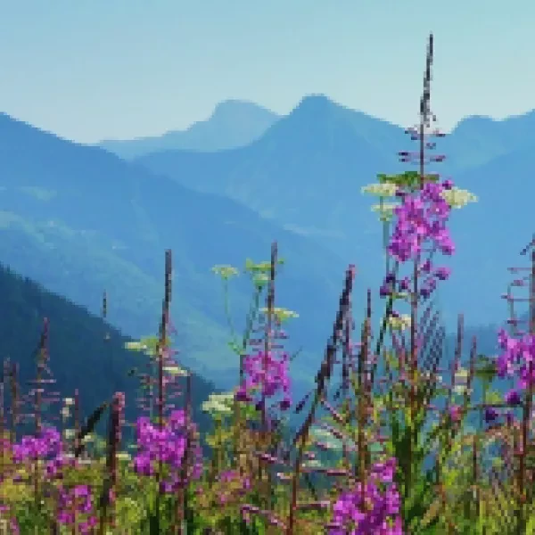 Chablais, Aravis, Aiguilles Rouges...