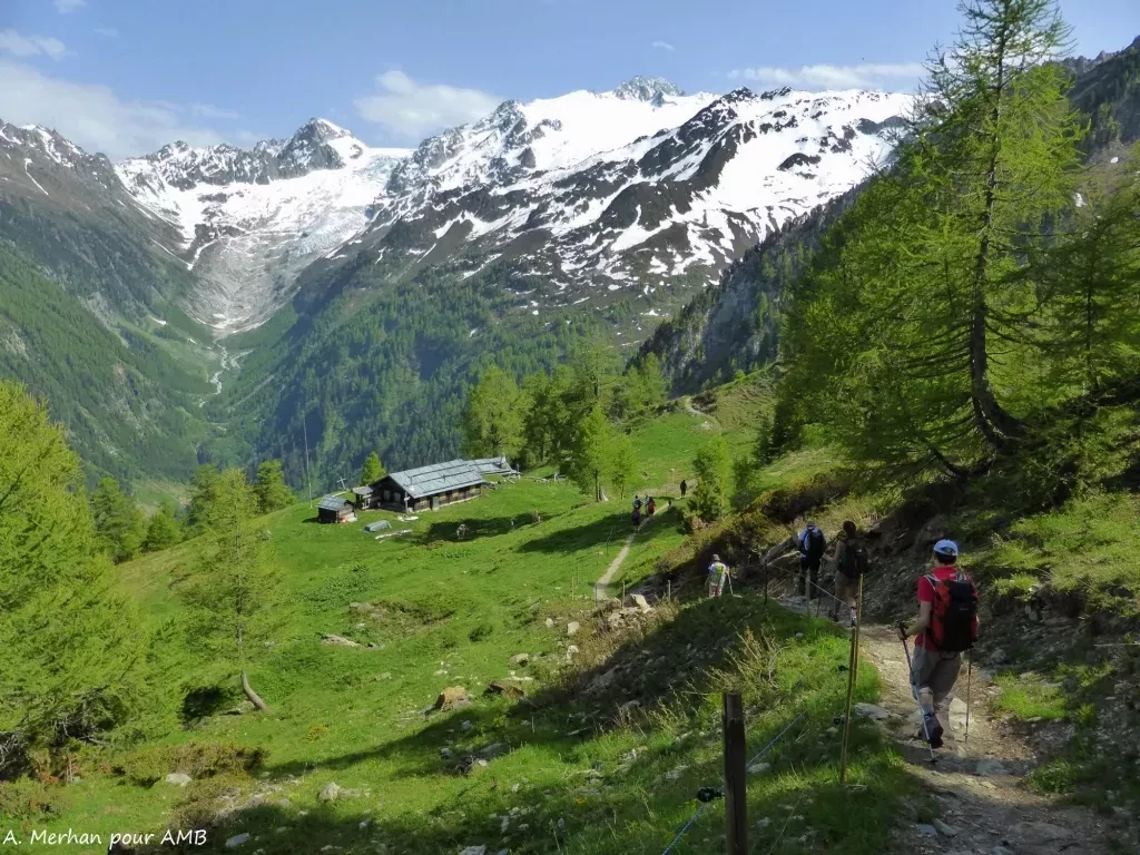 media-librarycd9uh210grp40ibCwiA