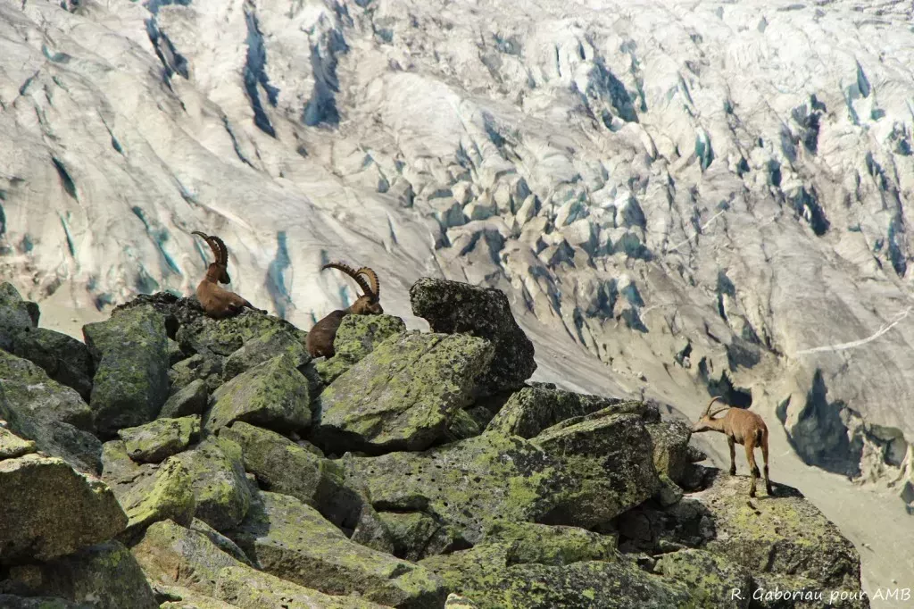 media-libraryc3luf8t8u5apbKUi1xD