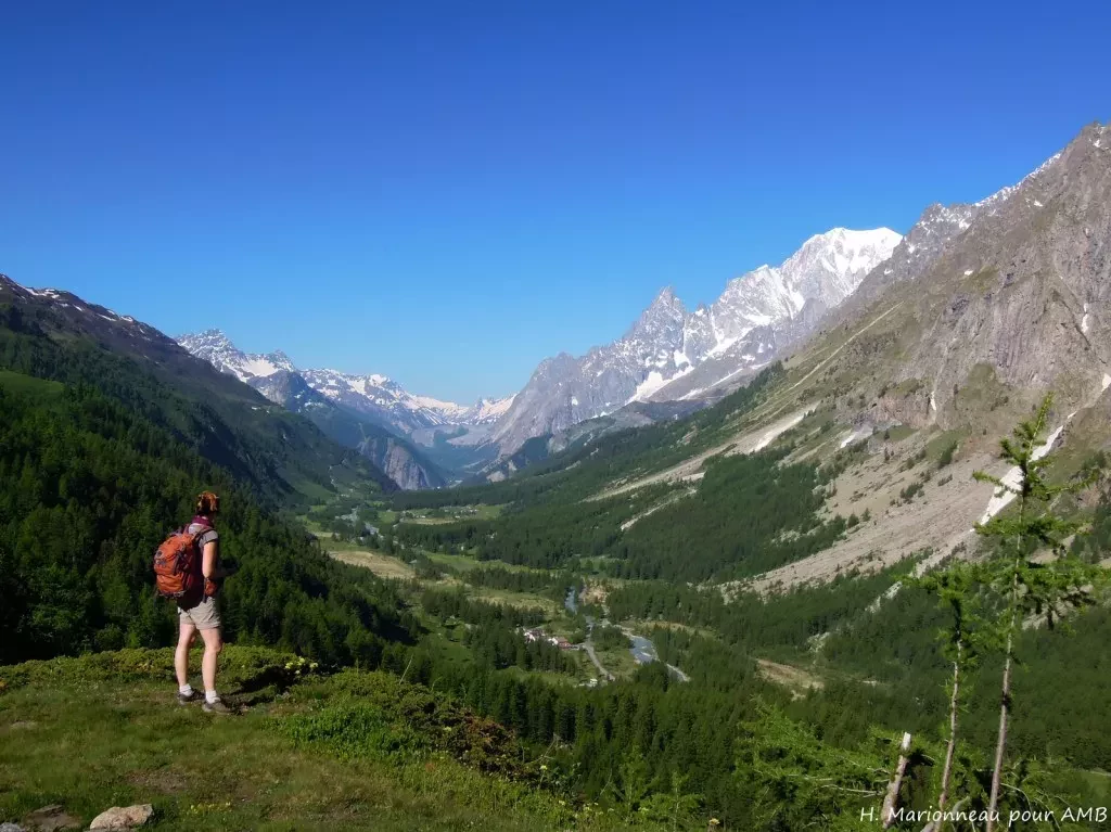 media-librarybs1a514sdi4balUc7uD