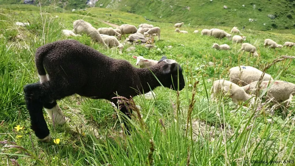 media-libraryopiqi8jbgmoc35nfwXD