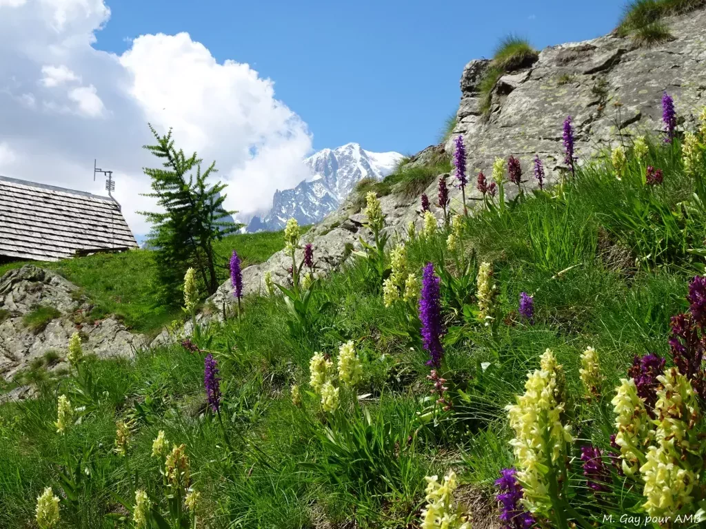 media-libraryeupc1fmerugn9jG4zmE