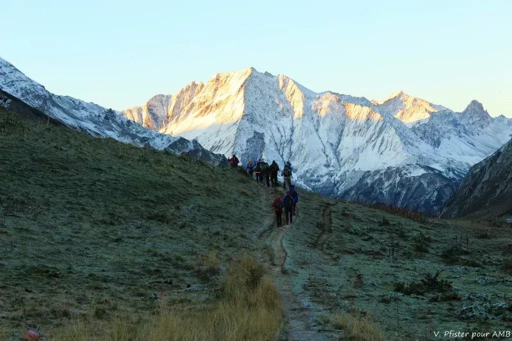 media-libraryqiqabq5i1tkvdjsd1WA