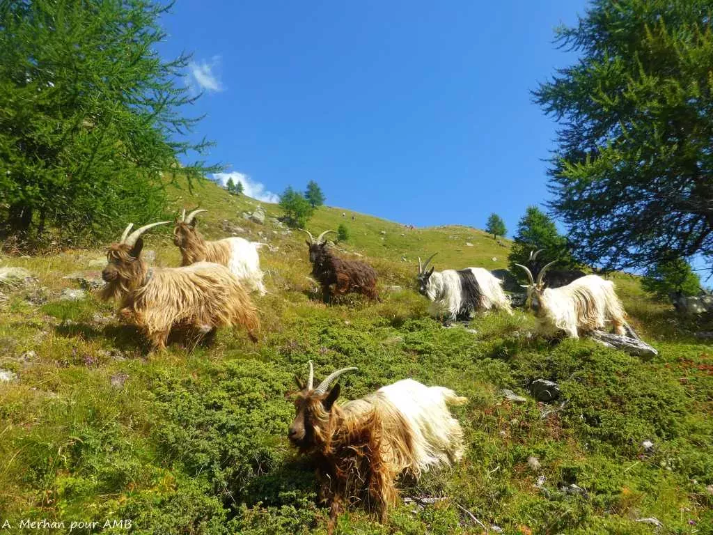 media-library6p5chorfr02pd2KvEYB