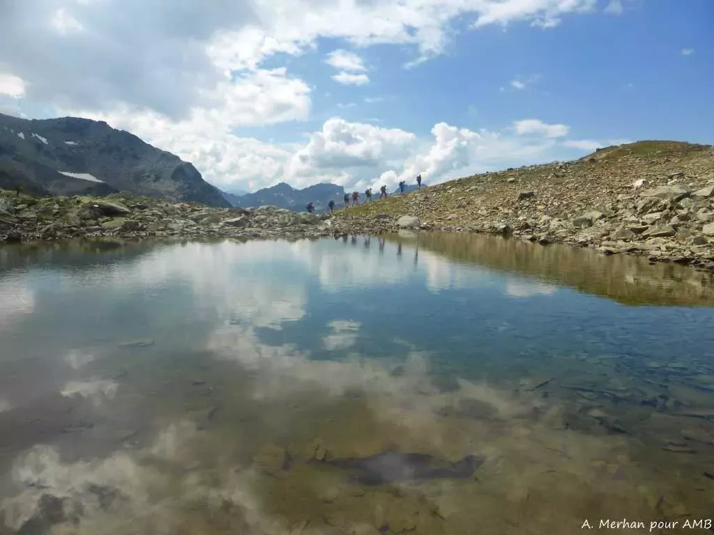 media-library46shl2ujs7ioamXGwRF