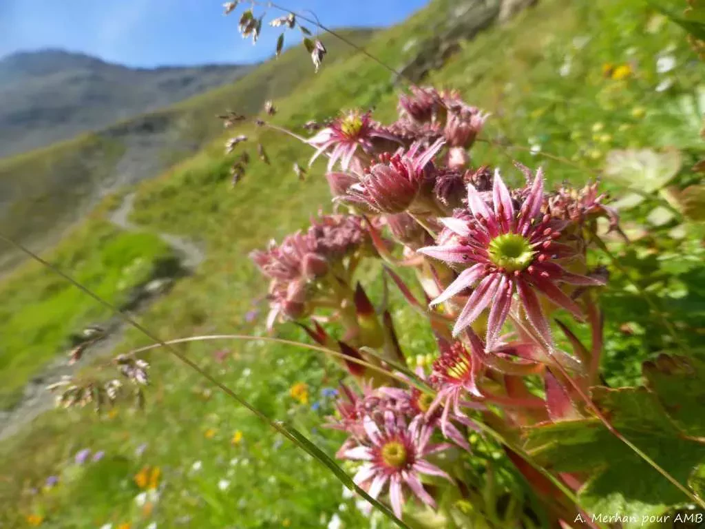 media-library6ji7ldvg193763UHfhF