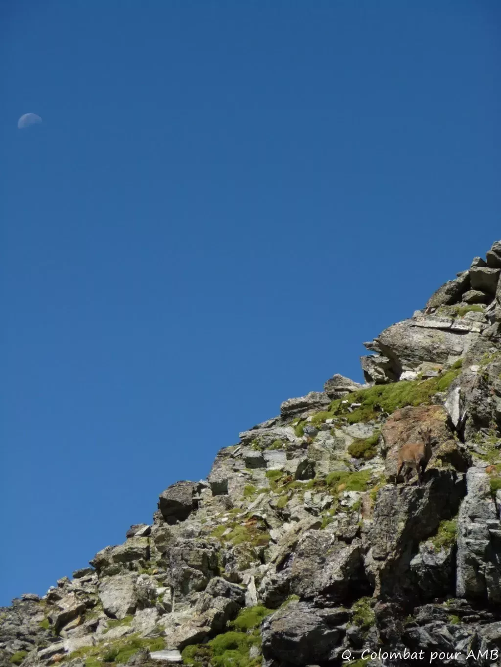 media-librarybekcr9r8u8k6acjRXrB