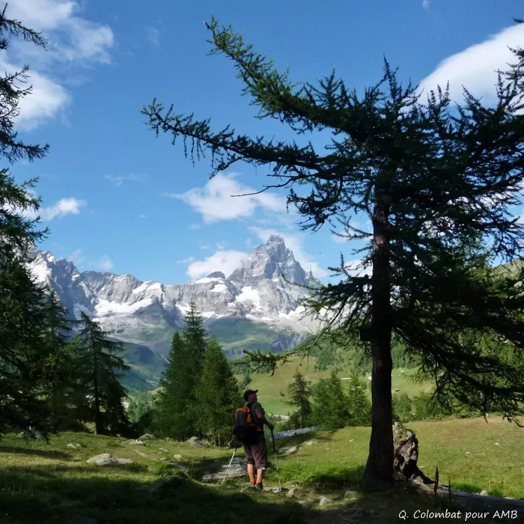 media-libraryb7ud75a311j8focyFTD