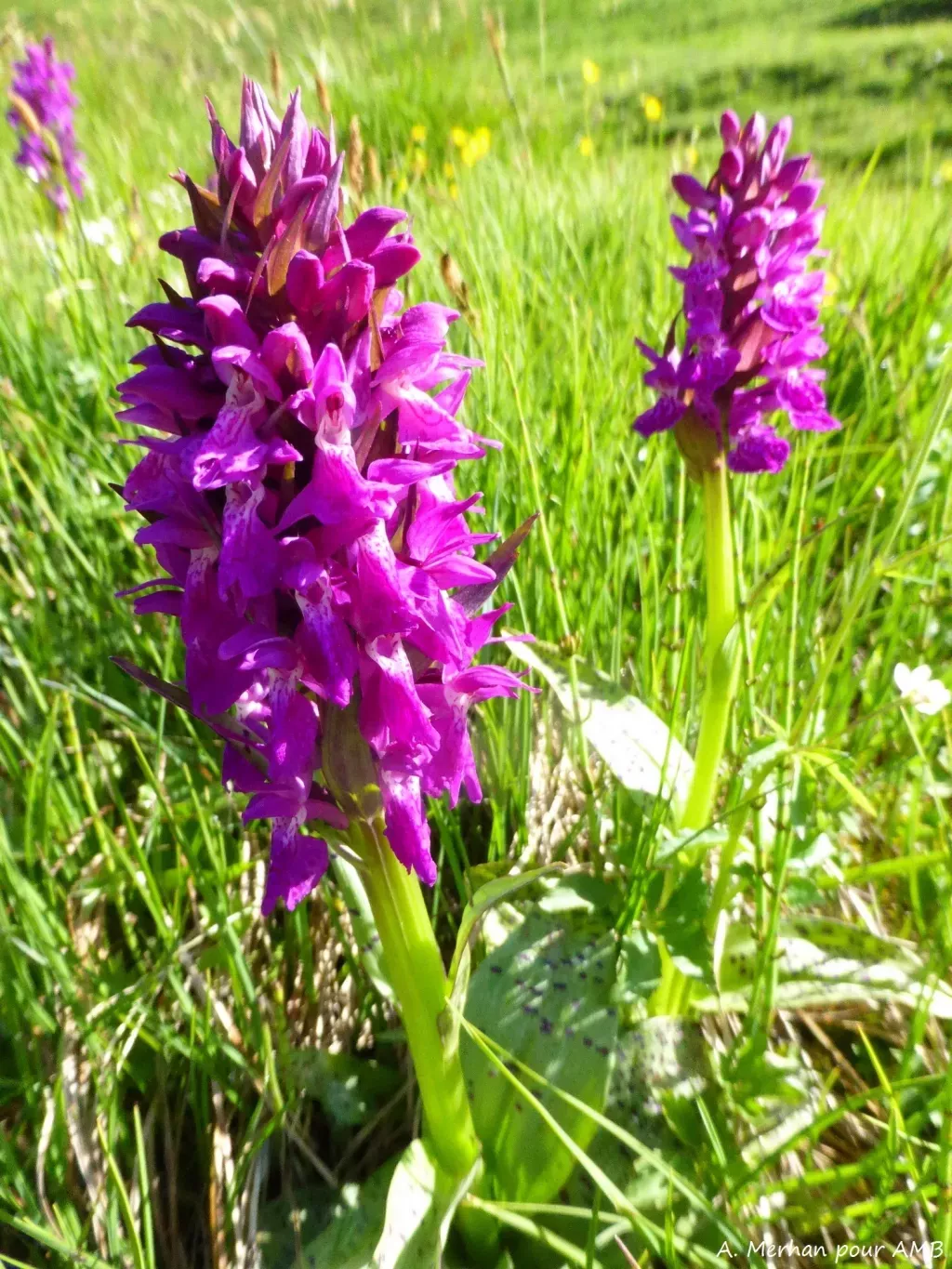 media-libraryjuf1klnki65neN75DwB