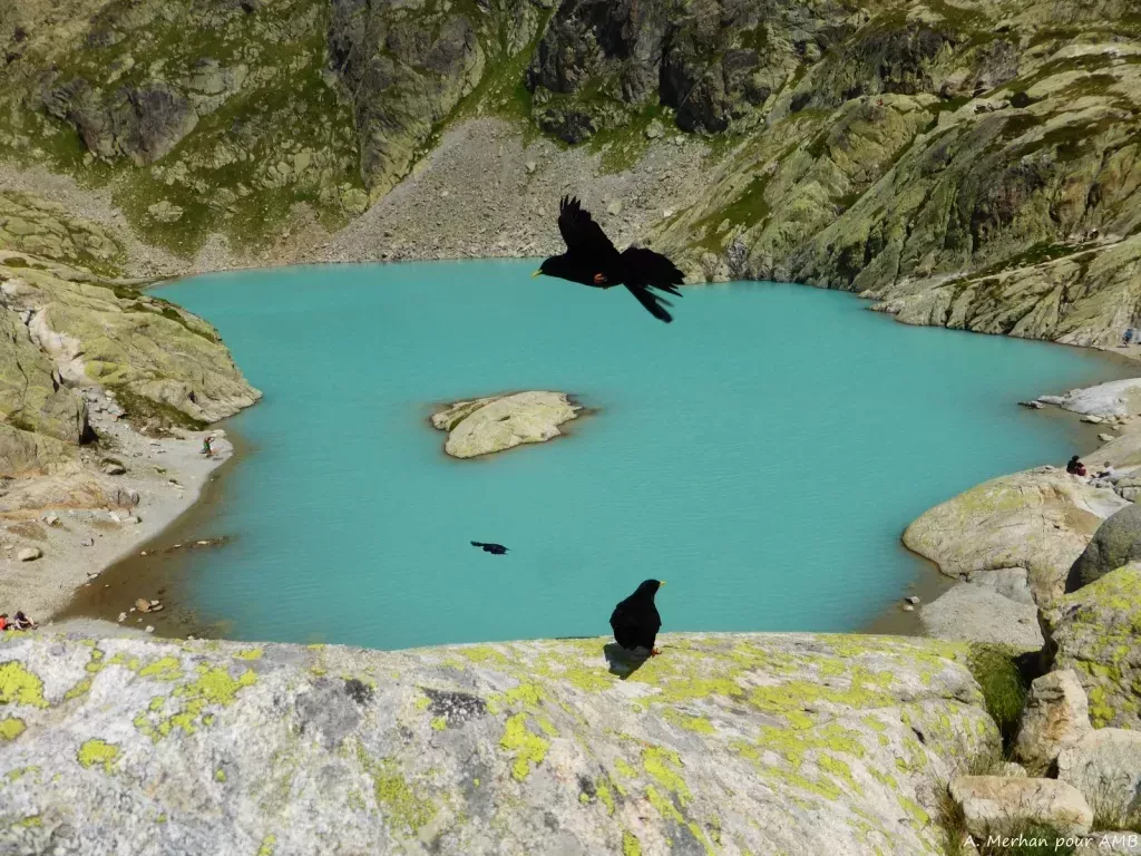 media-librarysv66sjd67tob1EZsa6E