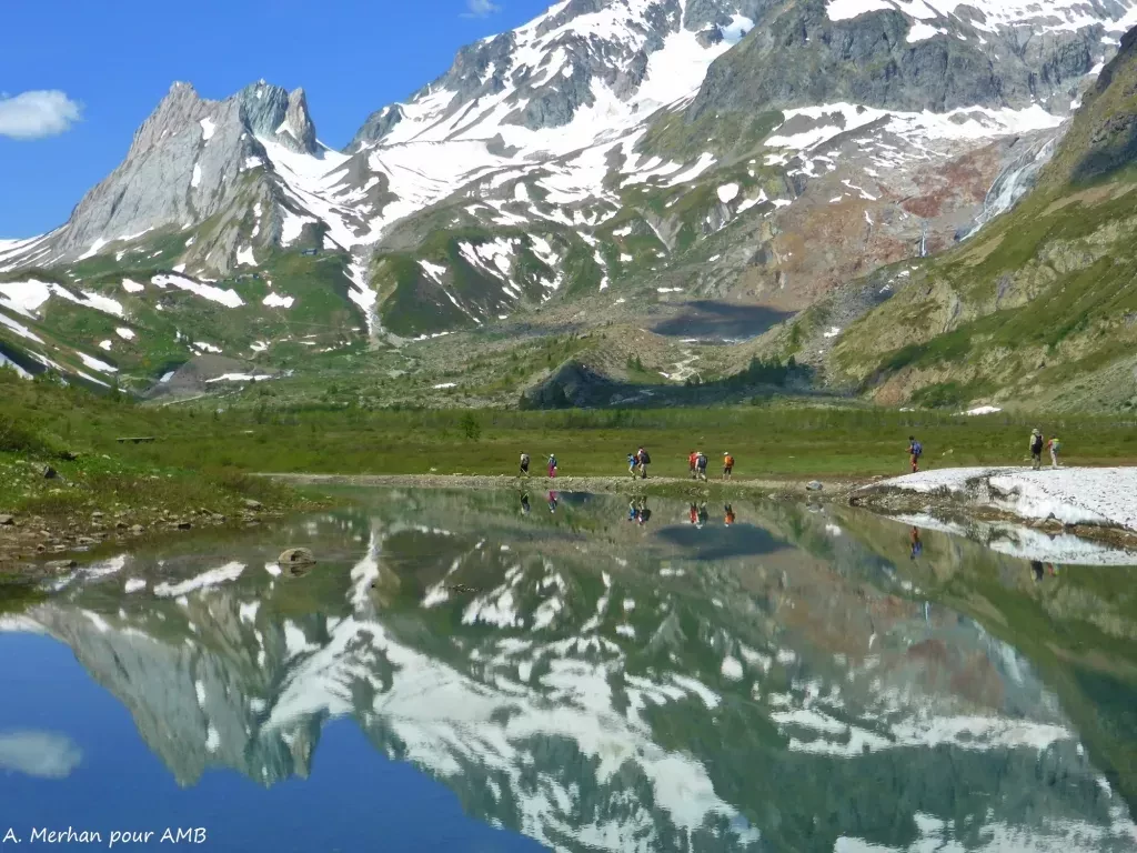 media-librarydi2i2g4js6mo2SROHlE