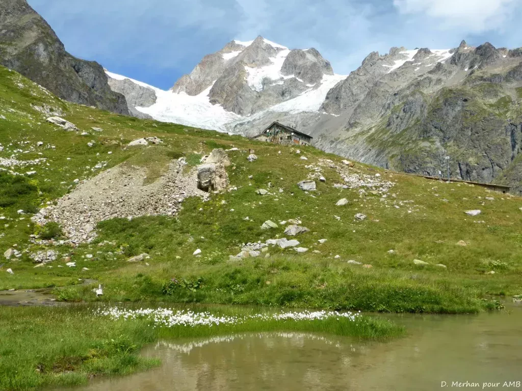 media-libraryq9osmd221poh3qL9CUE