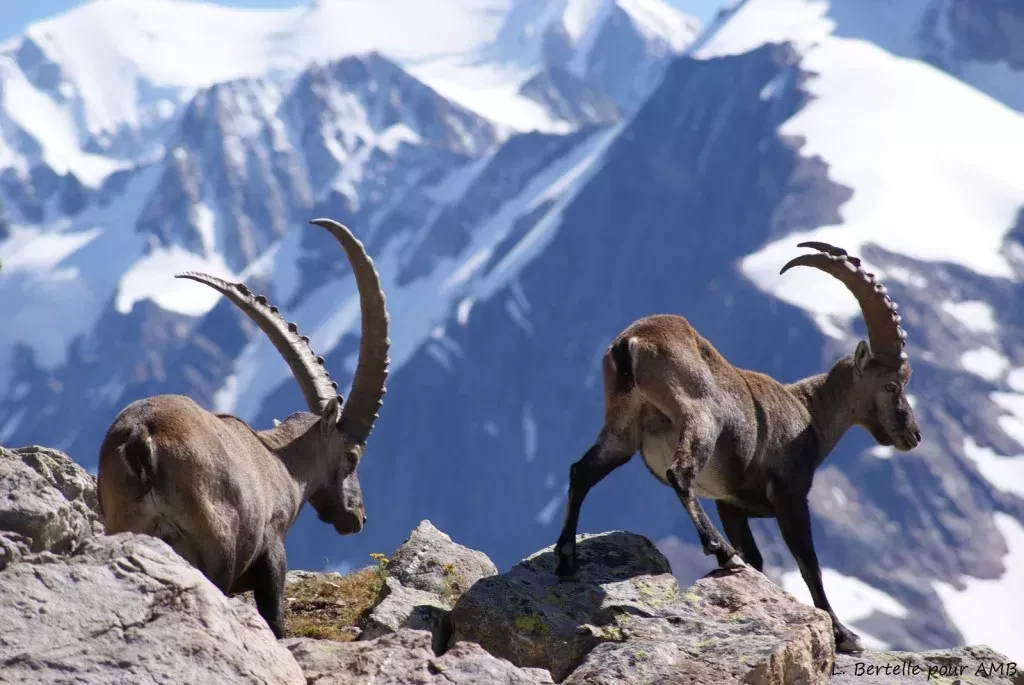 media-libraryjonutp0n0fnseoQyDJE