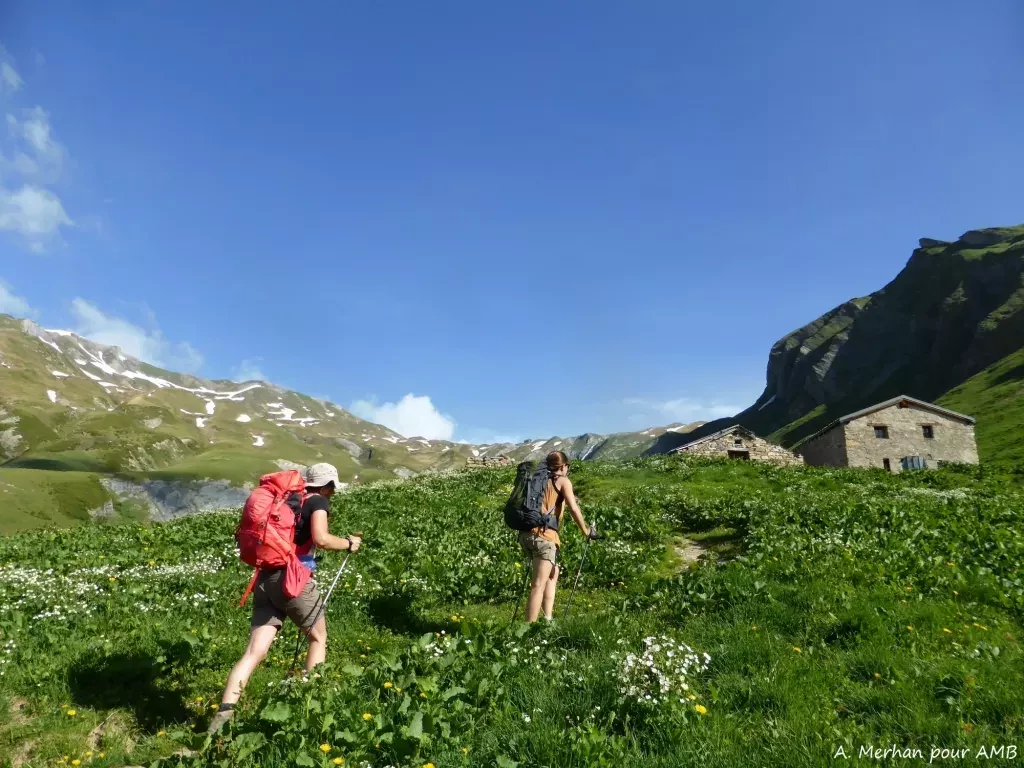 media-libraryl9tuo9972v5r89fhiZE