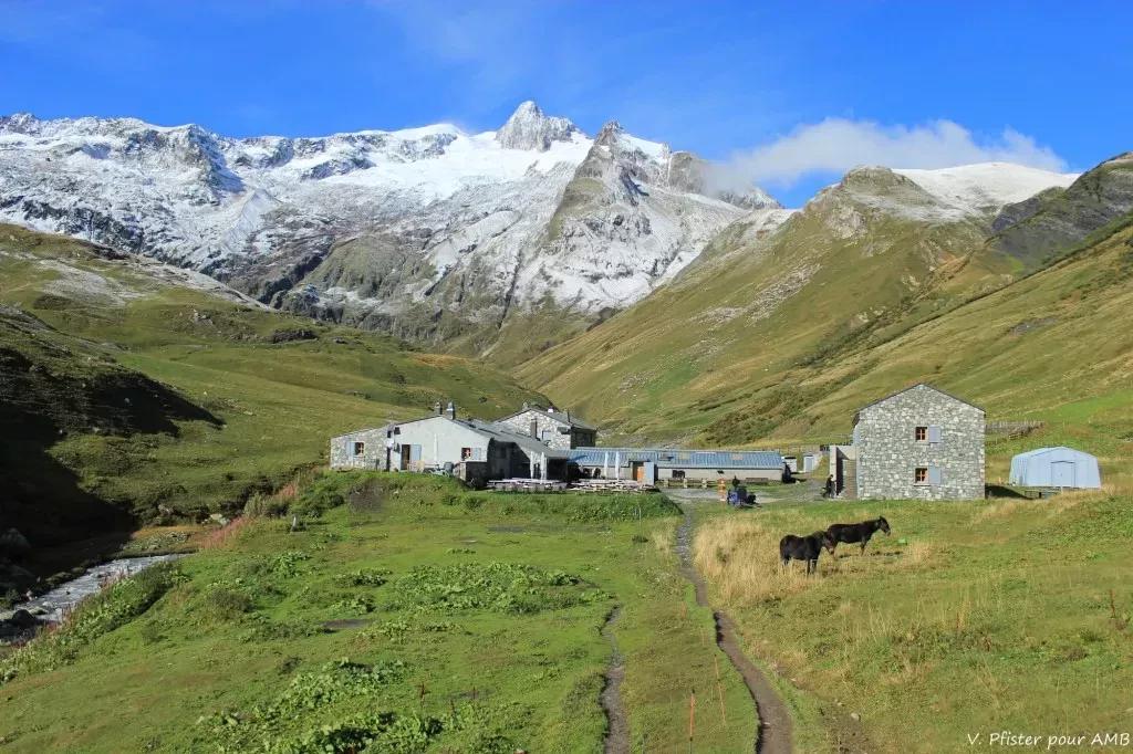 media-libraryp6c48l417h1j4ISyrtF