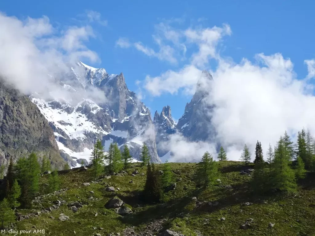 media-libraryi1vu0ug0gj71dnea7aF