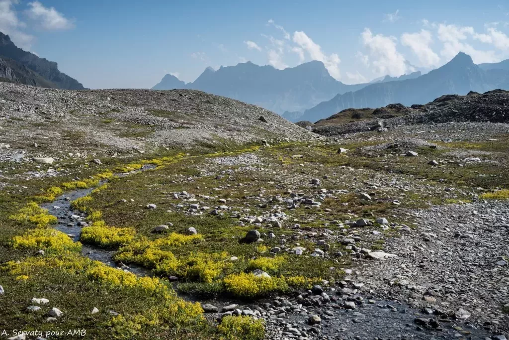 media-libraryl6qn7e0a3t24cpDLEXF