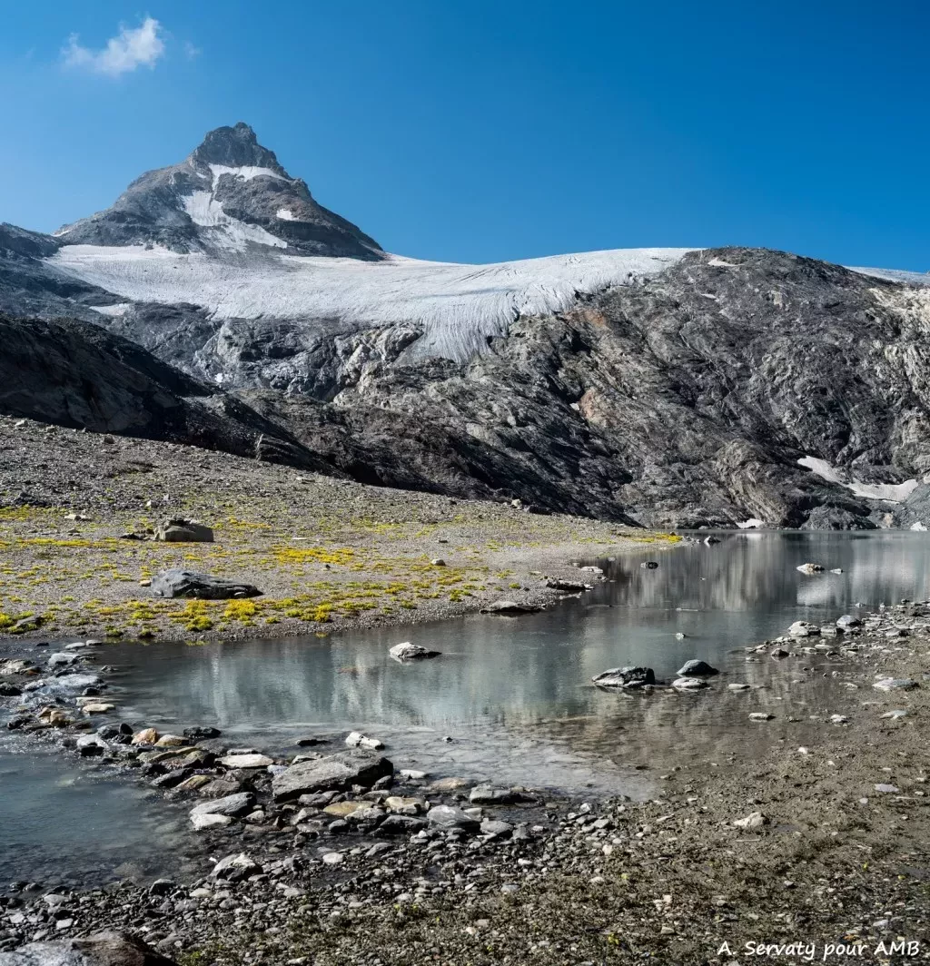 media-library0tmab73iehm8ewyAbbF