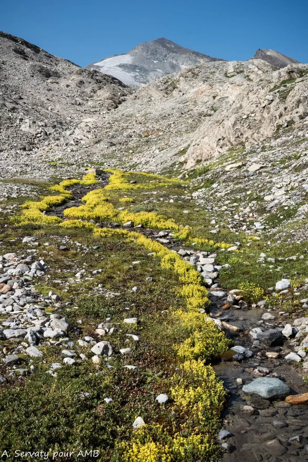 media-library51drma17uflg8jlUxJB