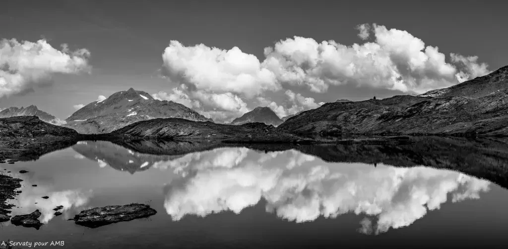 media-librarynmil6pkrtg0je75fLaF