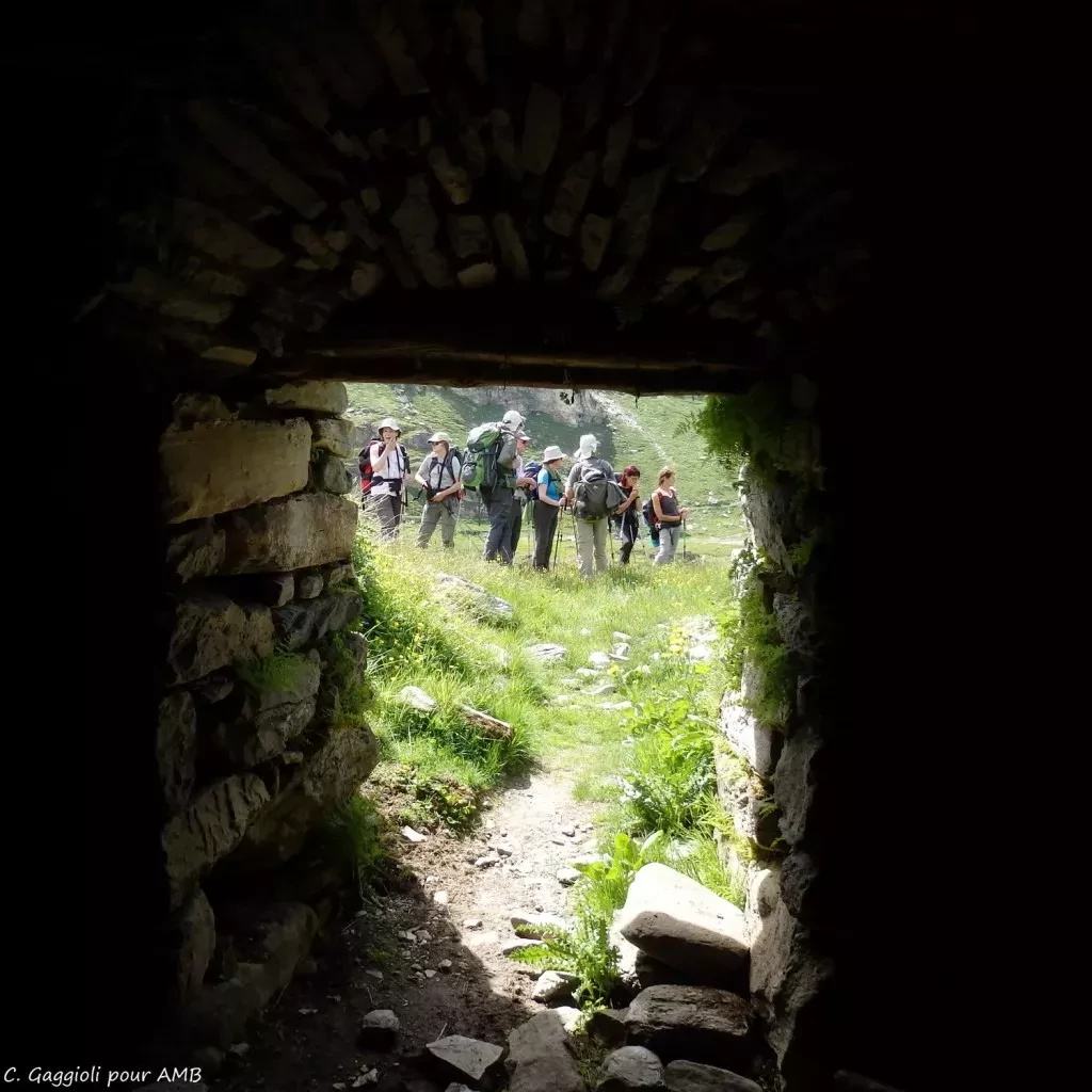 media-library43b8kskia8vecB6gV1C