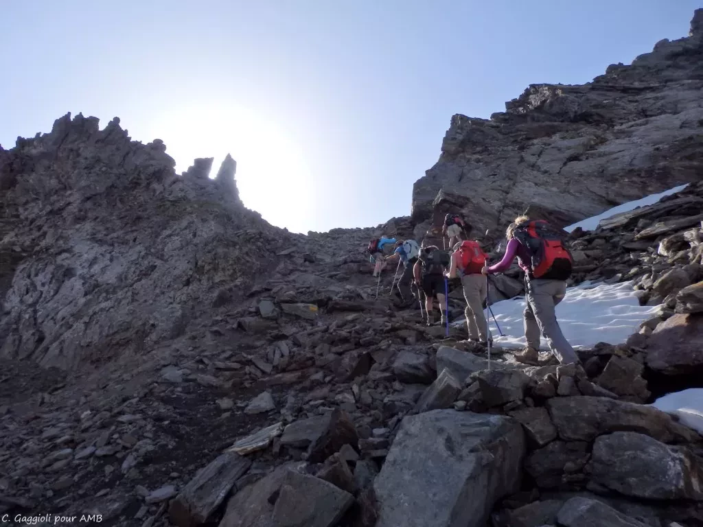 media-library551bc2d7afm23OTa0UD