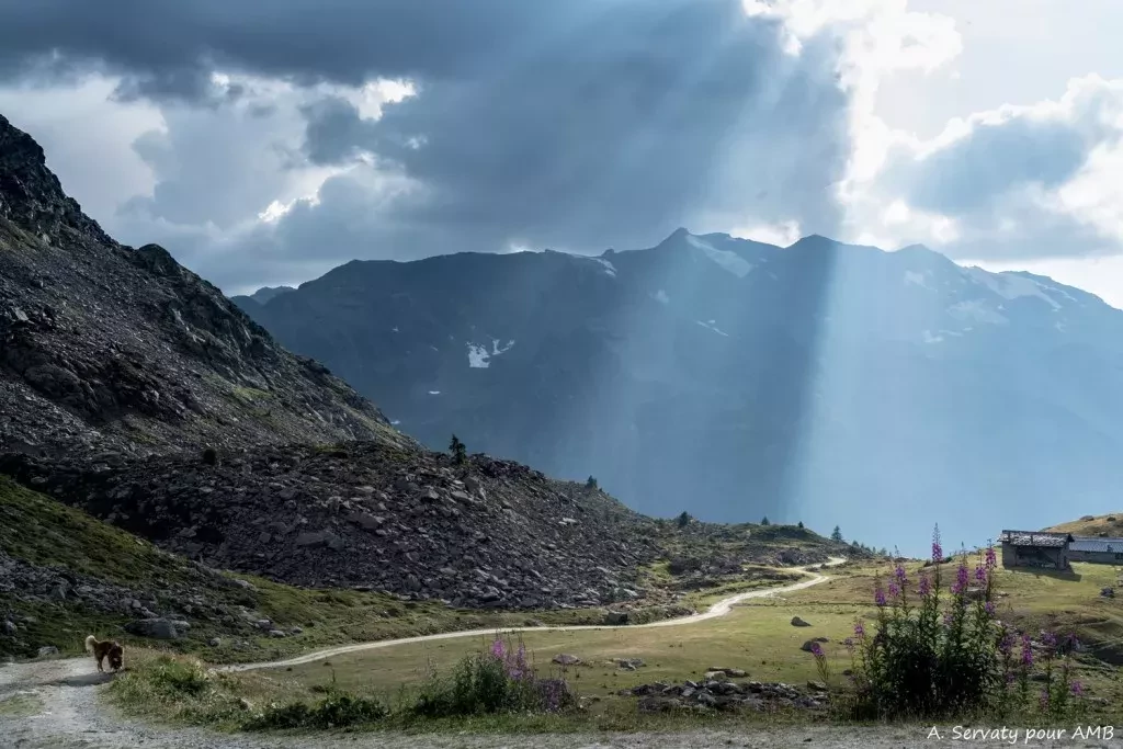 media-library3f3hq417ni596wtwBKD