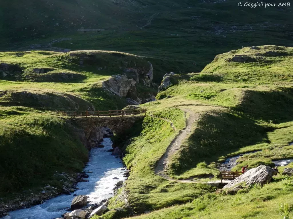 media-libraryvk6hfjfjiln12zlBL2D