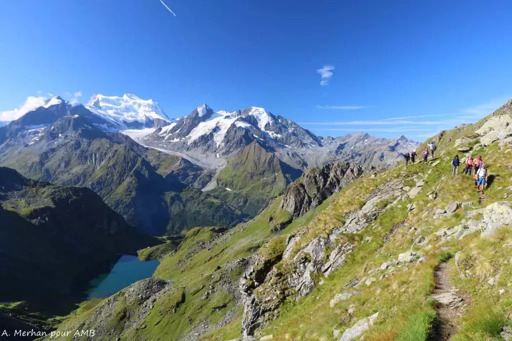 media-libraryuoi6nmit81vl6CXagnC