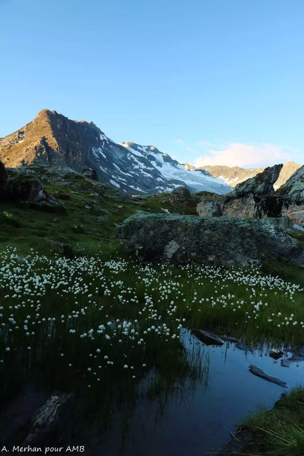 media-libraryt3hfrc1c2i8v4AMCx6B