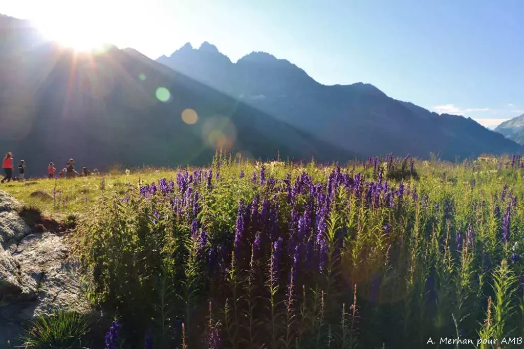 media-libraryurrbjc7e2trobKWqphF