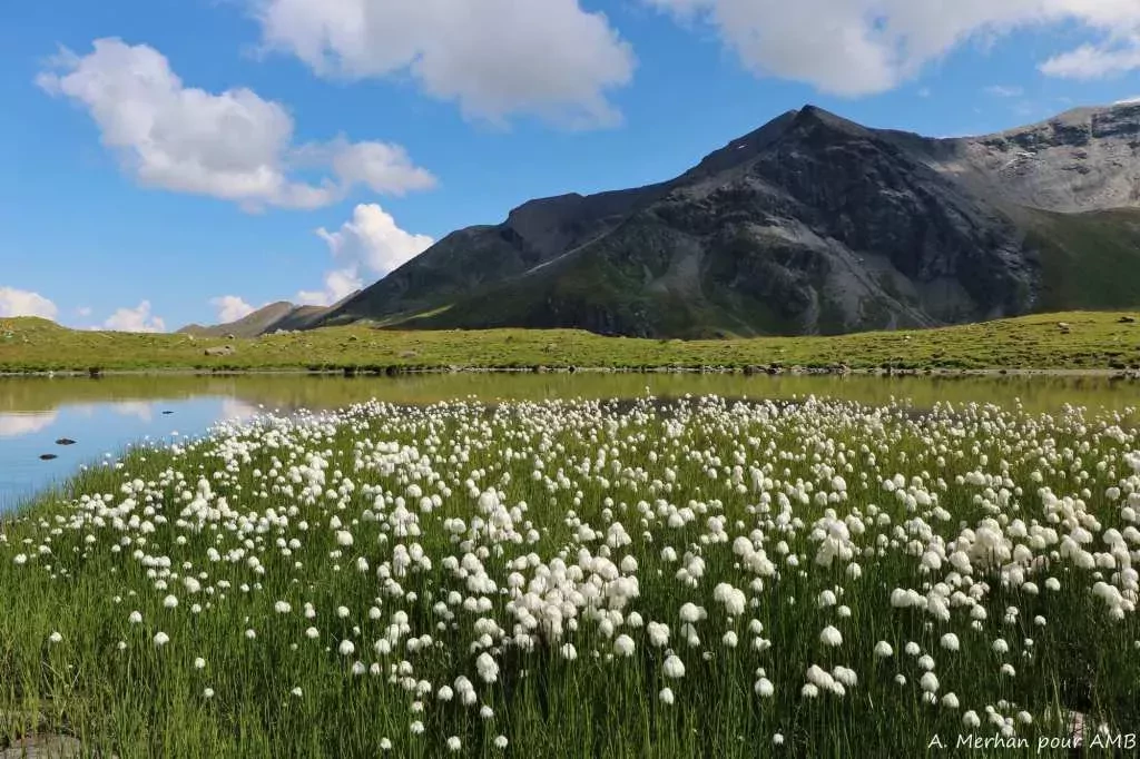 media-library05e1kf0sujlq0HiBOjE