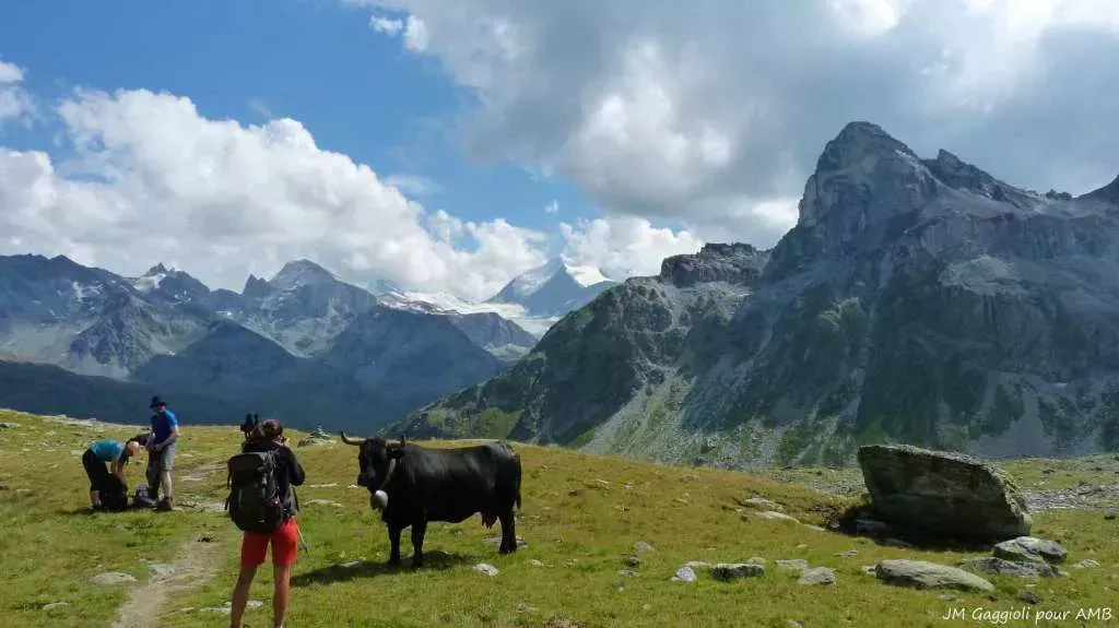 media-libraryrg6mnv3h2d4h7HDCIuC