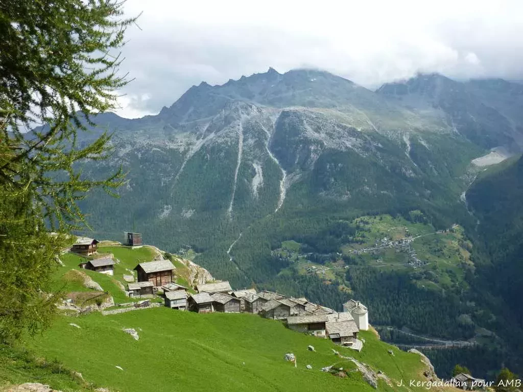 media-libraryvgpdkjqqrt59dIxZPGE