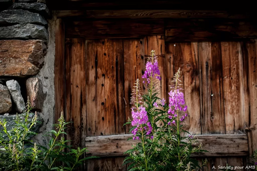 media-libraryp726j90tup6n1MpR4LE