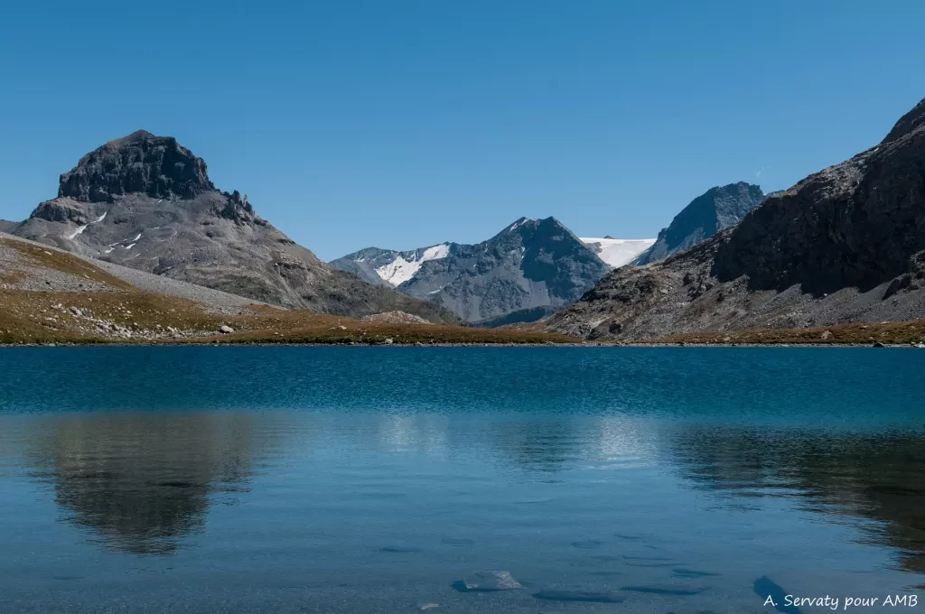 media-libraryrf8e0d00ripe1r51fwC