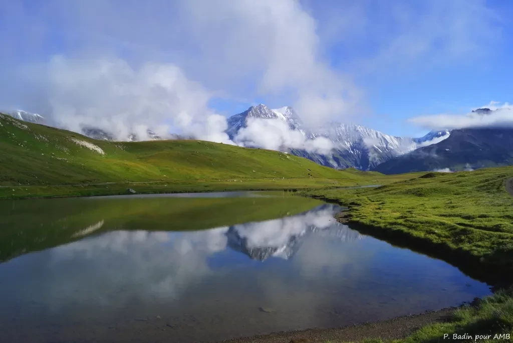 media-librarypd450avdl2vi8Q7UxqB