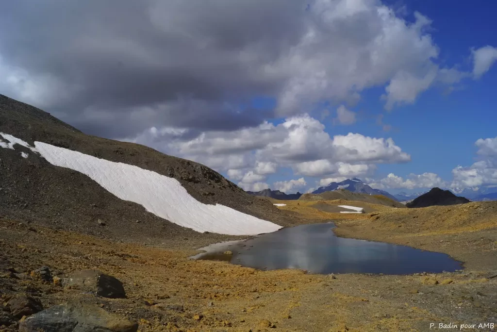 media-libraryv4mih1kpmvjc2Ba3iHF